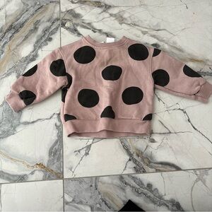 Zara 3-6 polka dot crewneck